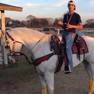 Meet your Posher, Pedro ulises